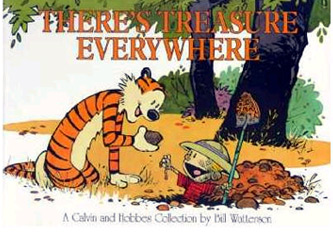 There S Treasure Everywhere: A Calvin And Hobbes Collection (Paperback)