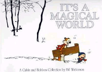 It S A Magical World: A Calvin And Hobbes Collection (Calvin And Hobbes Collection) (Paperback)